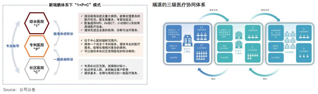 买猫500、治病5000年轻人抛弃宠物医院(图7)