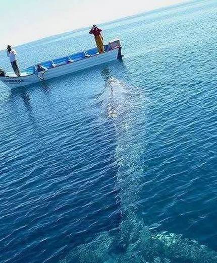 盘点旅途中哪些非去不可的最佳户外水上运动圣地(图12)
